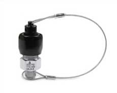 Nitrous Oxide Blow-Off Adapter